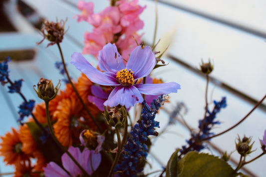 a close up of flowers