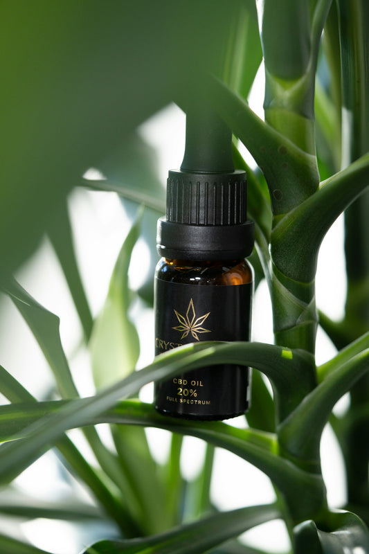 a bottle of cb oil sitting on top of a plant