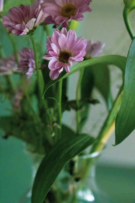 a vase filled with purple flowers on top of a table