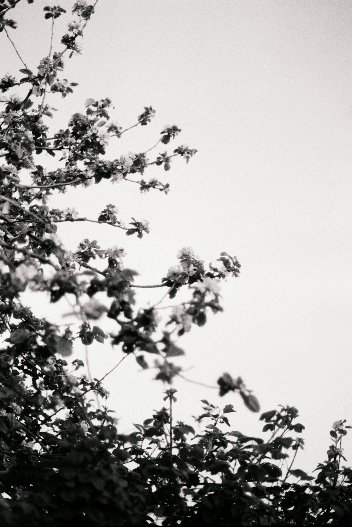 a black and white photo of a clock tower