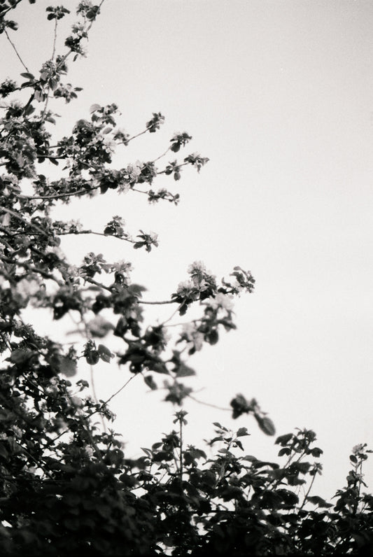 a black and white photo of a clock tower