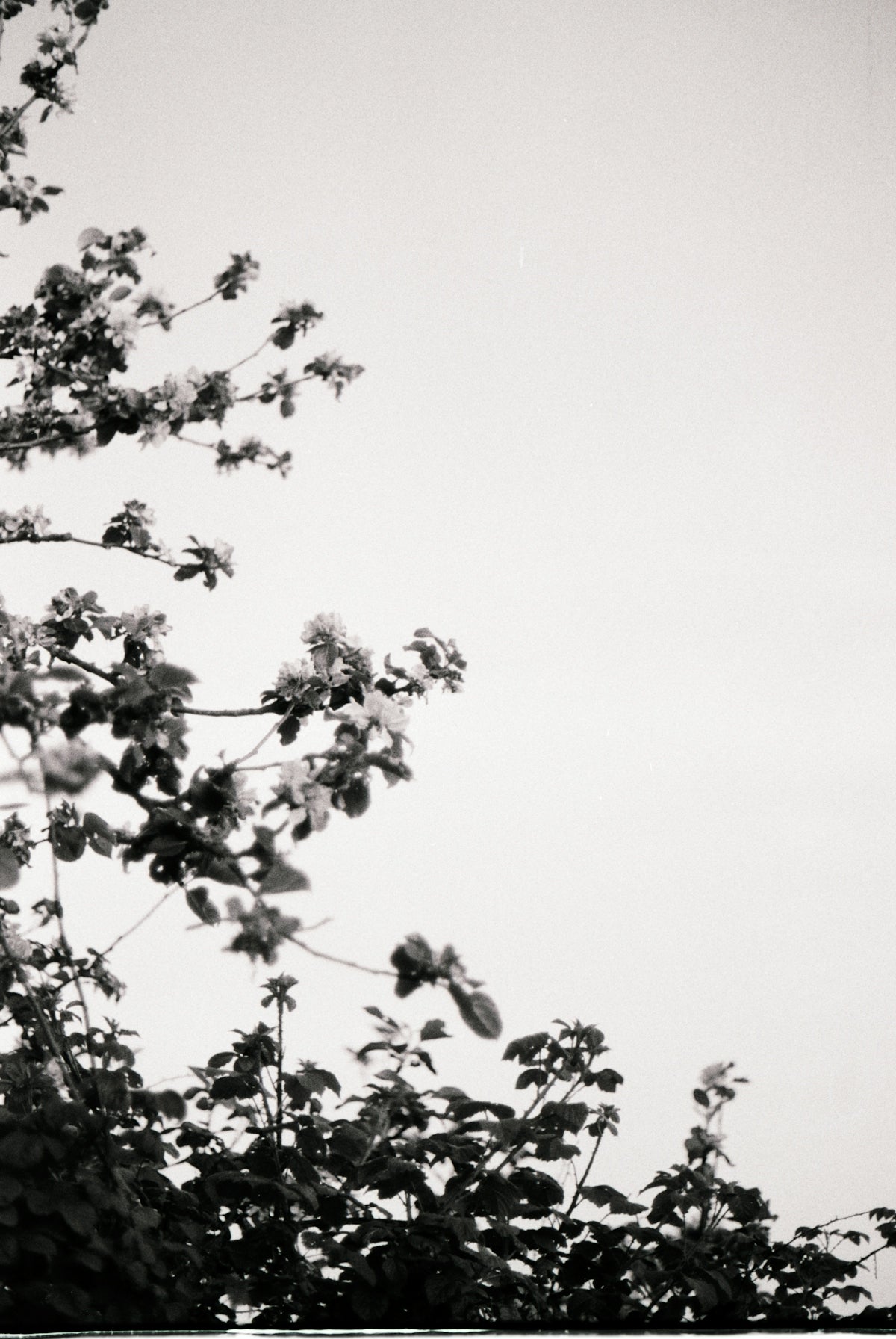 a black and white photo of a clock tower