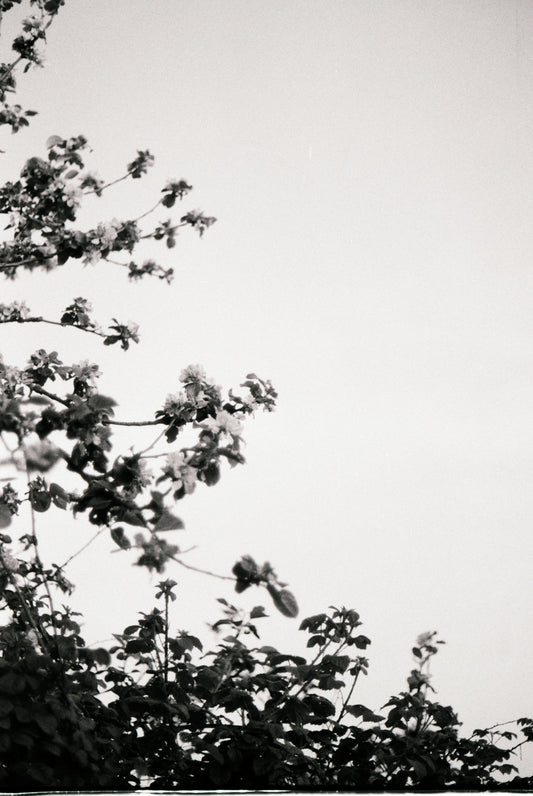 a black and white photo of a clock tower