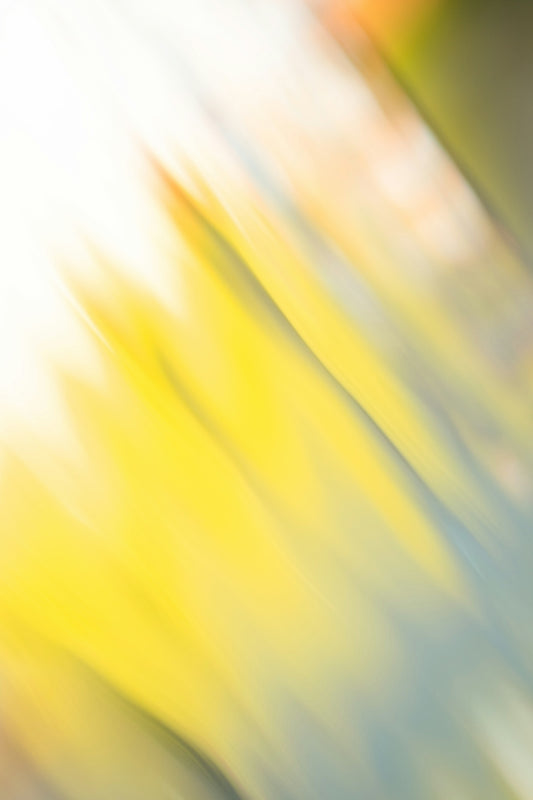 A blurry photo of yellow and blue flowers