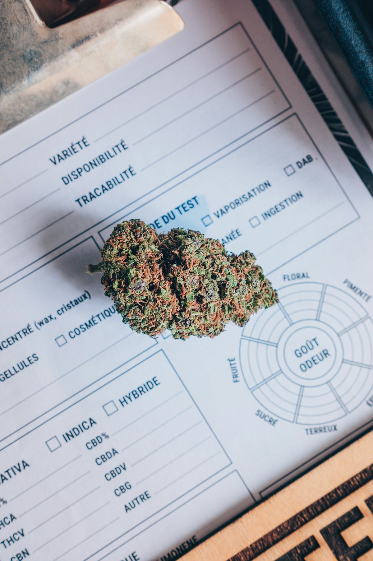 A close up of a piece of marijuana on a paper