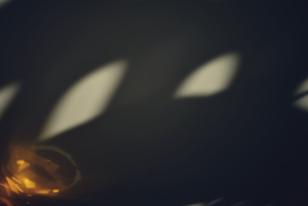 Shadows of leaves dance on a wall.