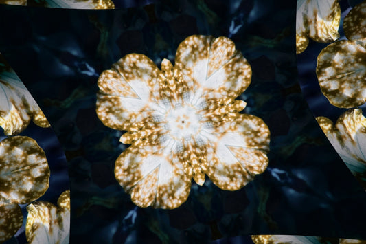 A kaleidoscope-like flower-shaped pattern is displayed.