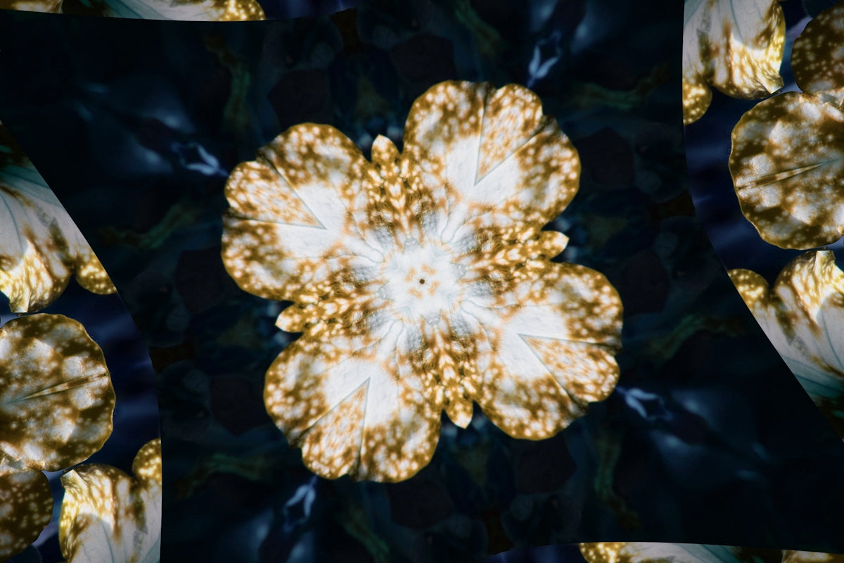 A kaleidoscope-like flower-shaped pattern is displayed.