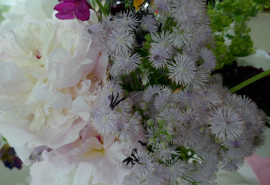 A bouquet of white peonies and light purple spiky flowers.
