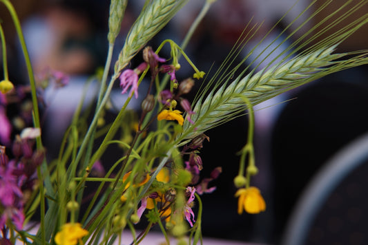 Colorful wildflowers and green wheat ears in a bouquet.