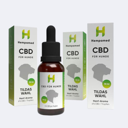 3x Premium CBD Öl für Hunde 6 % (Hanf-Aroma)