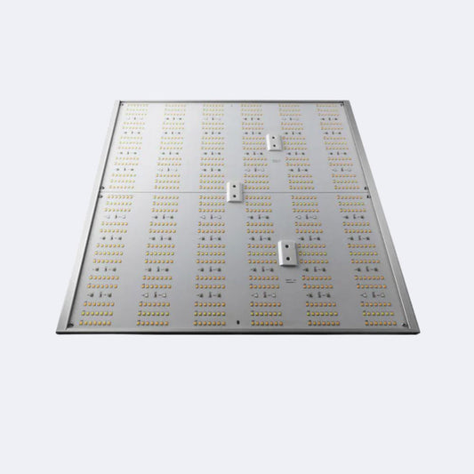 LED Force 240 W