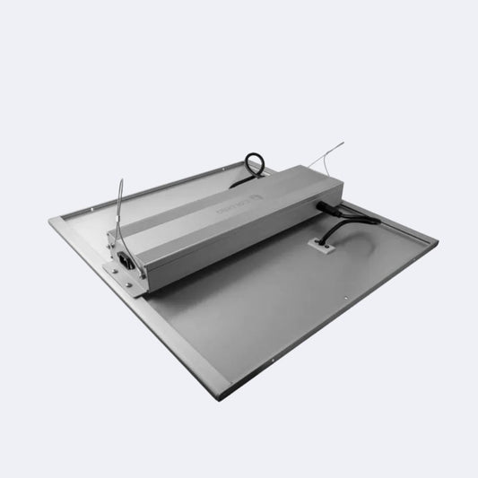 LED Force 240 W
