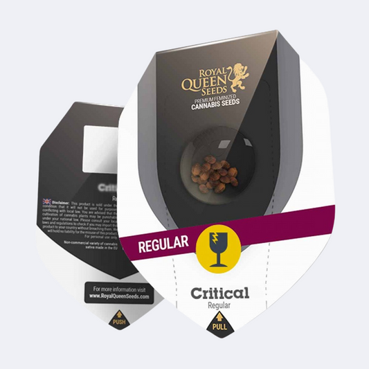 Critical Regulär