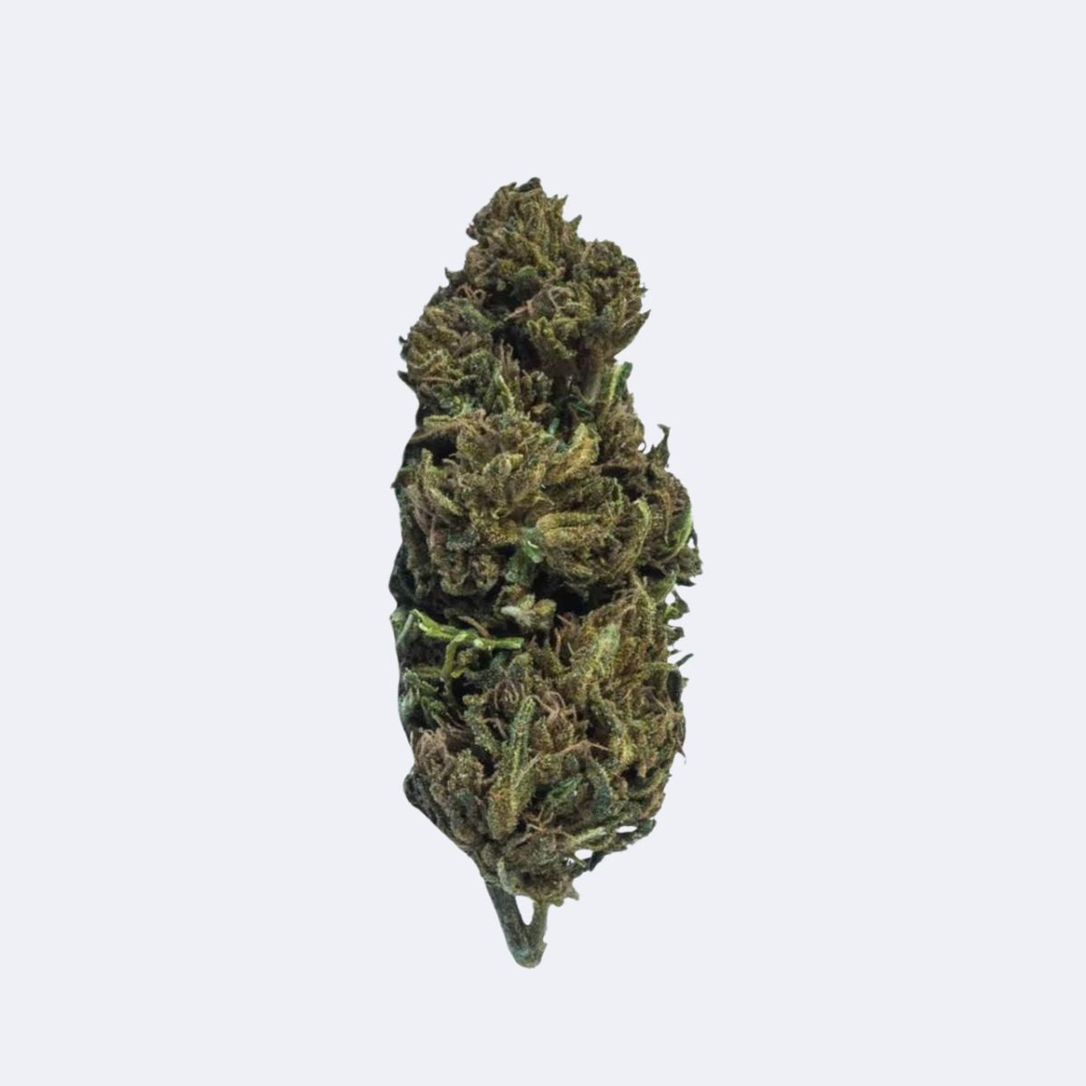 Amnesia Kush | CBD Blüten