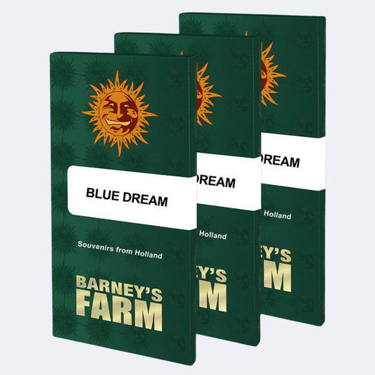 Blue Dream Feminisiert